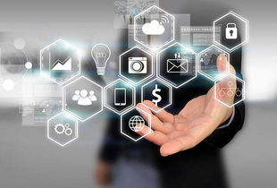 所志國軟文寫作案例 不靠廣告靠口碑，誠信服務成就電子商務新典范